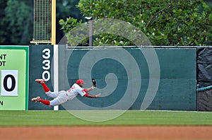 2012 Minor League Baseball Action