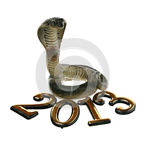 2013 - year of the Snake