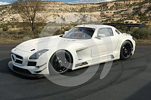 2014 Mercedes Benz SLS AMG GT3