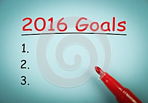 2016 Goals