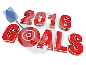 2016 goals