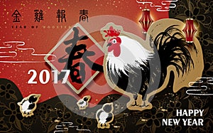 2017 Chinese new year