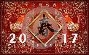 2017 Chinese new year