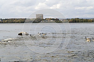 2017 Inukshuks at Remics Rapids 16