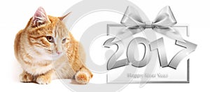 2017 silver happy new year text and ginger cat on white