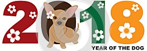 2018 Chinese New Year Chihuahua Dog vector Illustration