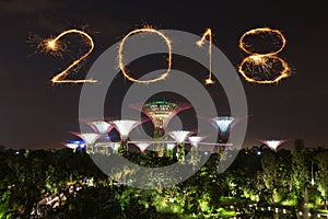 2018 Happy new year firework Sparkle with Gardens by the bay at