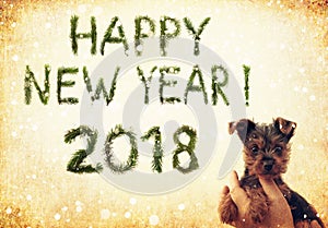 2018 New Year. Two thousand eighteen. Happy New Year greetings. Snowing. Cute little puppy in female hands. Words are made of a pi