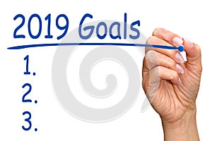 2019 Goals and Checklist