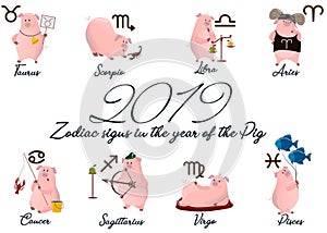2019 Set of cute cartoon zodiac Pig. Vector illustration zodiacal symbols: Aries, Taurus, Gemini, Cancer, Leo, Virgo, Libra, Scorp