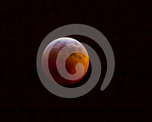 2019 Super Blood Wolf Moon