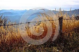 2021 10 30 Pieve bel Vicino Barbed wire