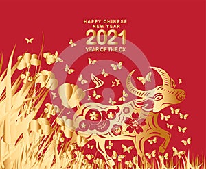 2021 Chinese New Year vector illustration with gold flowers, butterflies, Chinese typography Happy New Year, ox. Gold on red.