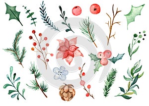 2021 watercolor Christmas set with branches of spruce, pine, holly, holly berries, cone, leaves, holly flower