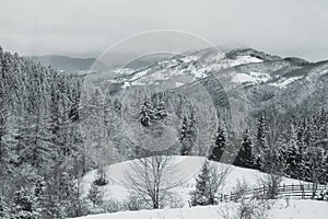 2021 winter snowy landscape forest and mountain snow covered