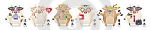 2021 Year of the Ox - set of cute cartoon cow in different pose