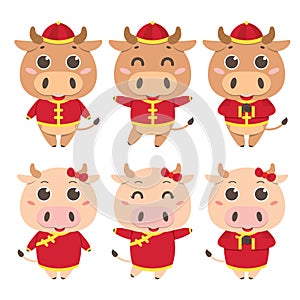 2021 Year of Ox. Set of Cute cartoon Ox / Cow with different pose, isolated on white.