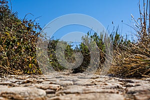 2022 08 11 Croazia cobblestone path 1