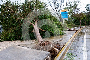 2022.09.19 Dominican Republic Punta Cana. Bavaro. Consequences of Hurricane Fiona.