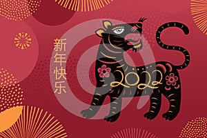 2022 Chinese New Year tiger, fireworks design