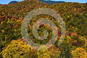 2022 Fall Foliage from the Blue Ridge Mountains outside Asheville, NC