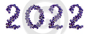 2022 from fresh flower petals. Concept New Years Christmas Numbers Isolated White Background