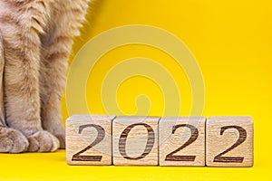 2022 numbers on wooden blocks next to a part of a red cat on a yellow background