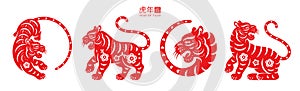 2022 tiger Chinese New Year symbol, floral pattern