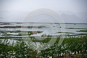 2023.05.01. Tourist in Shahu lake, Yinchuan, Ningxia Hui Autonomous Region