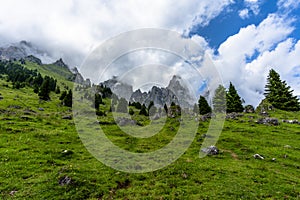 2023 07 08 Gosaldo mountain landscape 1