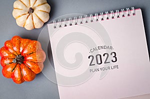 The 2023 desk calendar with pumpkins on grey colour background