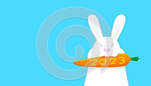 2023 funny bunny cartoon holding