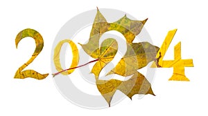 2024 numbers carved from yellow maple leaves