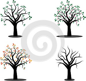 2048Vector image of four season tree witn flowers and leafs in different seasons