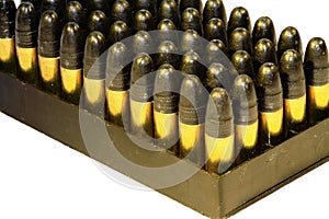 .22 bullets in a tray