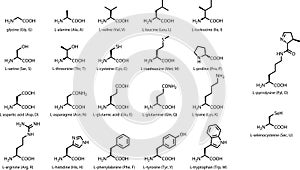 The 22 standard amino acids - chemical structures