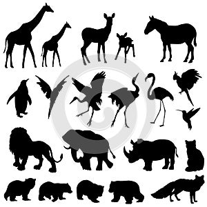 2237 silhouette, Set of elements, silhouettes of black, exotic animals and birds, isolate on a white background