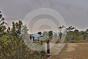 23 Nov 2019 Beautiful Landscape on the way at Fung Wong trail