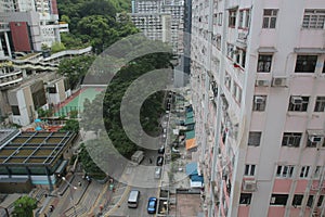 24 June 2020  tree wall at Forbes Street, Kennedy Town ,hong kong