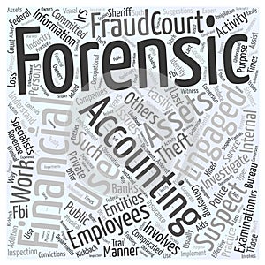 24 Who uses forensic accountants word cloud concept background