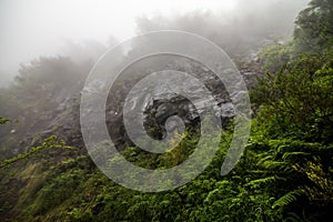 25 Fontes or 25 Springs Levada hiking traill, Rabacal, Madeira, Portugal