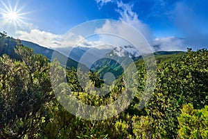 25 fountains, walk on the levadas in Madeira