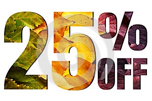 25% off discount promotion sale poster, ads. Autumn sale banner with green, yellow and red leaves on white background.