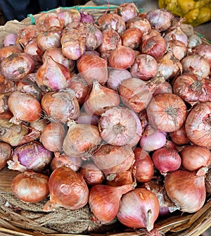 25 Sep 2020, Dhaka, Bangladesh. Fresh onion are displayed for sale in a local market in dhaka, bangladesh.