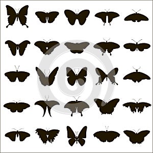 25 vector silhouettes of butterflies