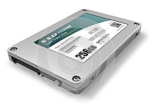 256GB solid state drive (SSD)