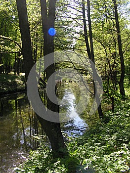 27.Forest Park `DROZDY` in Minsk Belarus