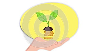 2d animation hand with coin and growth plant