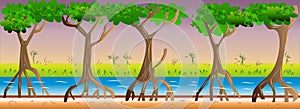 2D Flat Mangrove Forest Game Background Vector Illustration