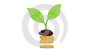 2d looping animation coin and growth plant